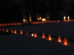 Luminaries in the Bay